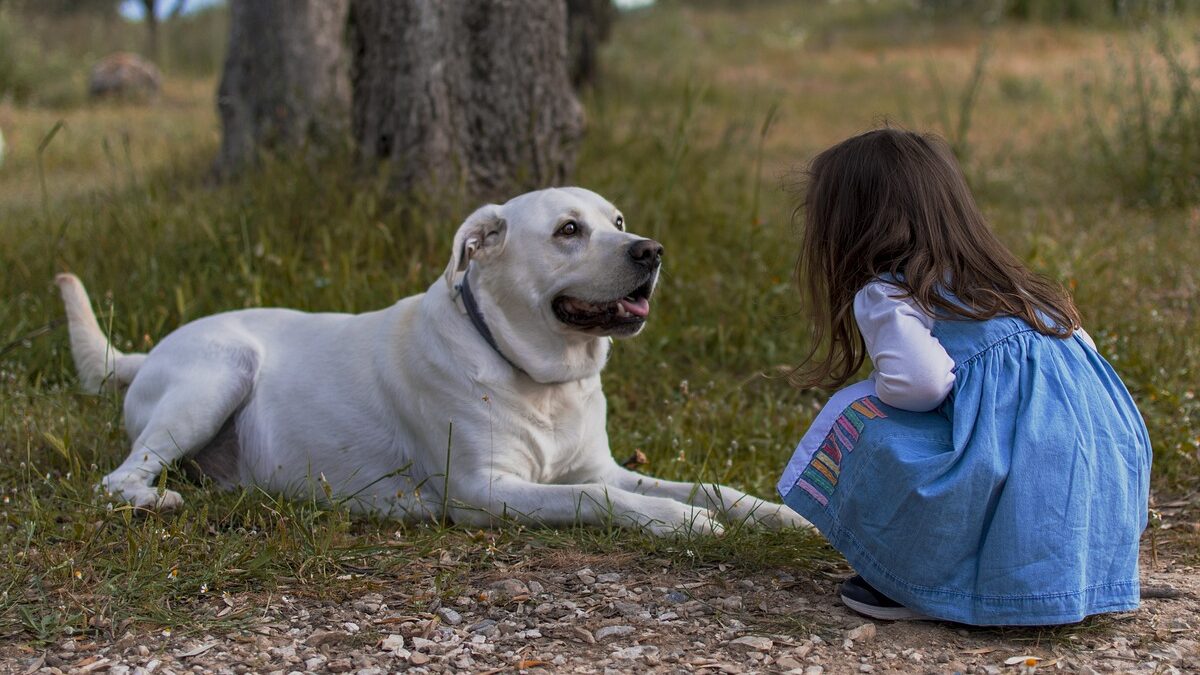 Beneficios de tener un perro para los niños: niña jugando con su mascota de raza labrador junto a un árbol