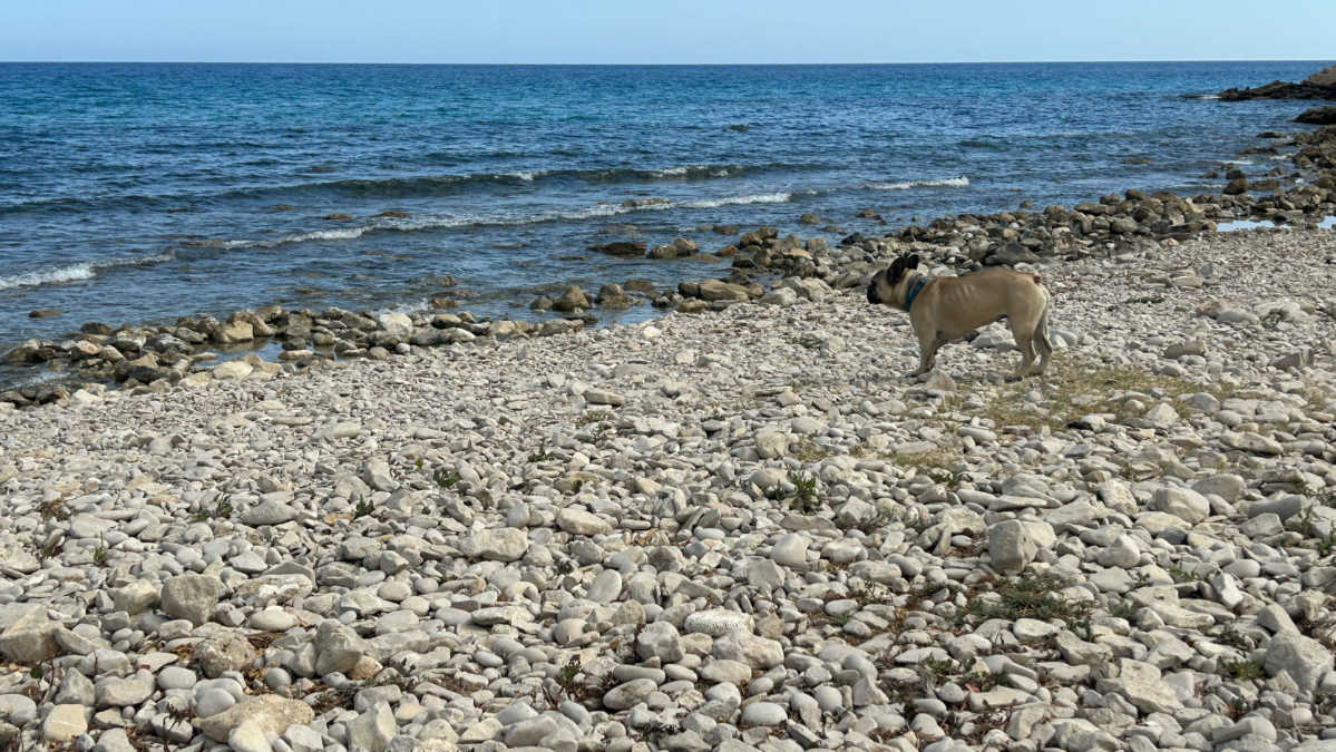 Playa para perros Cala El Xarco de Villajoyosa