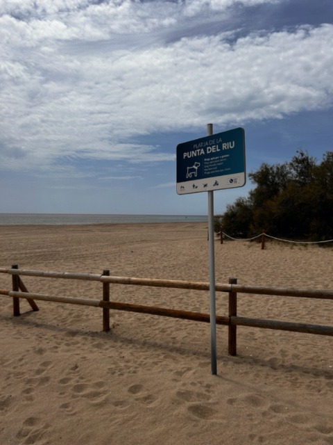 Normativa aplicable en la Playa Canina de la Punta del Riu