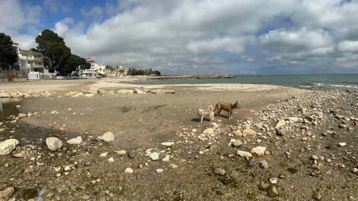 Playa para perros de Sant Carles de la Ràpita