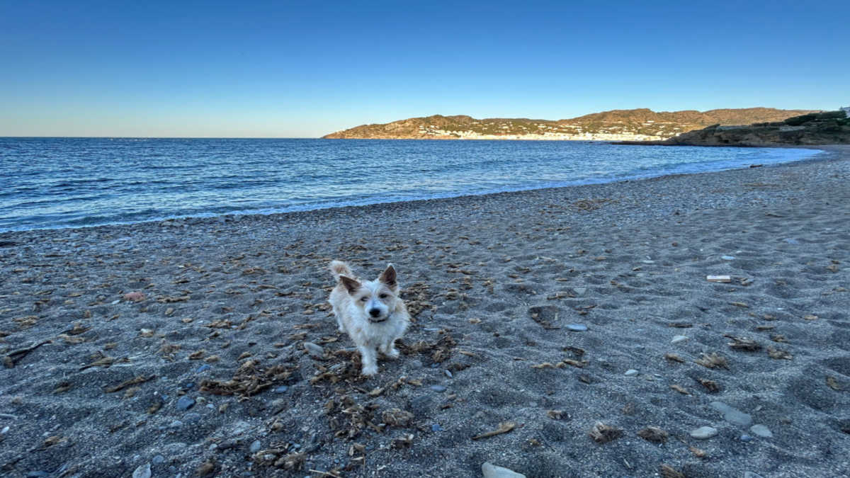 Playa para perros Platja del Port de la Vall - Port de la Selva