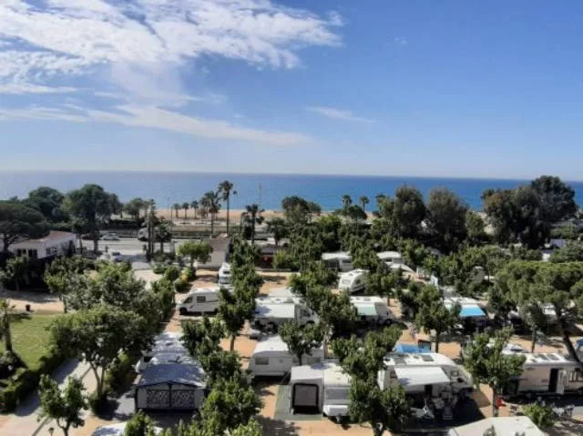 Camping con playa para perros en España: guía completa por comunidades 1 camping pet friendly en barcelona