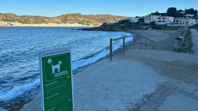 Vista general de la Playa para perros de El Port de la Vall