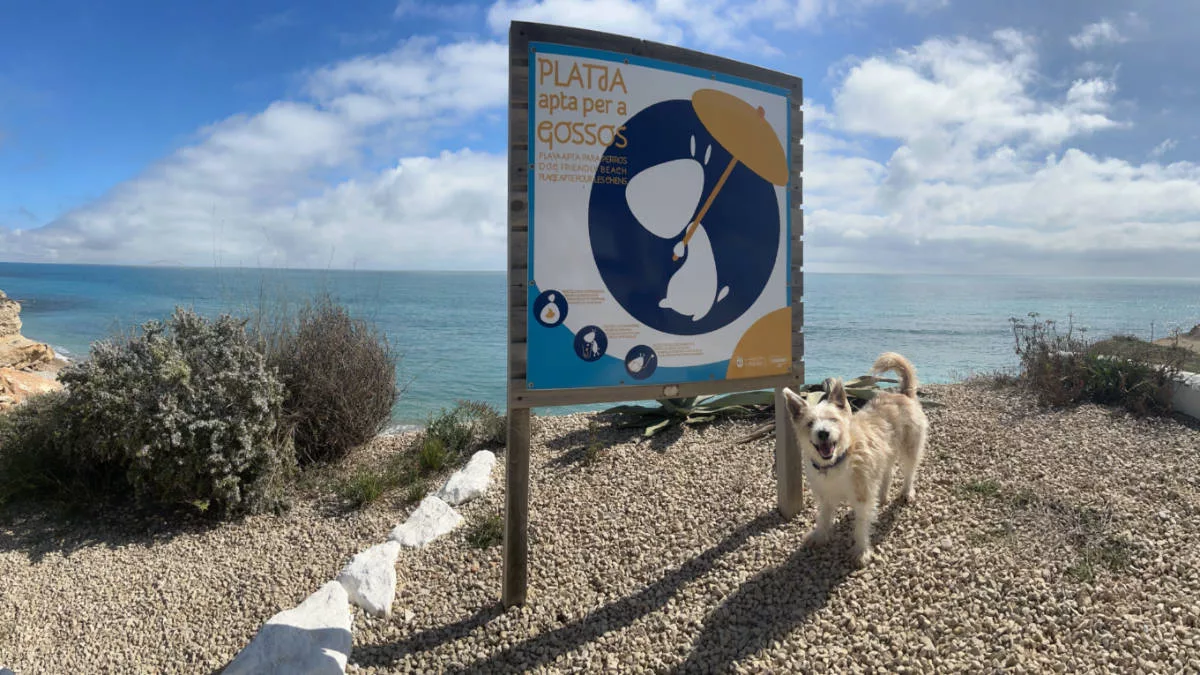Cala de les Llanetes - Playa para perros de Vinaròs