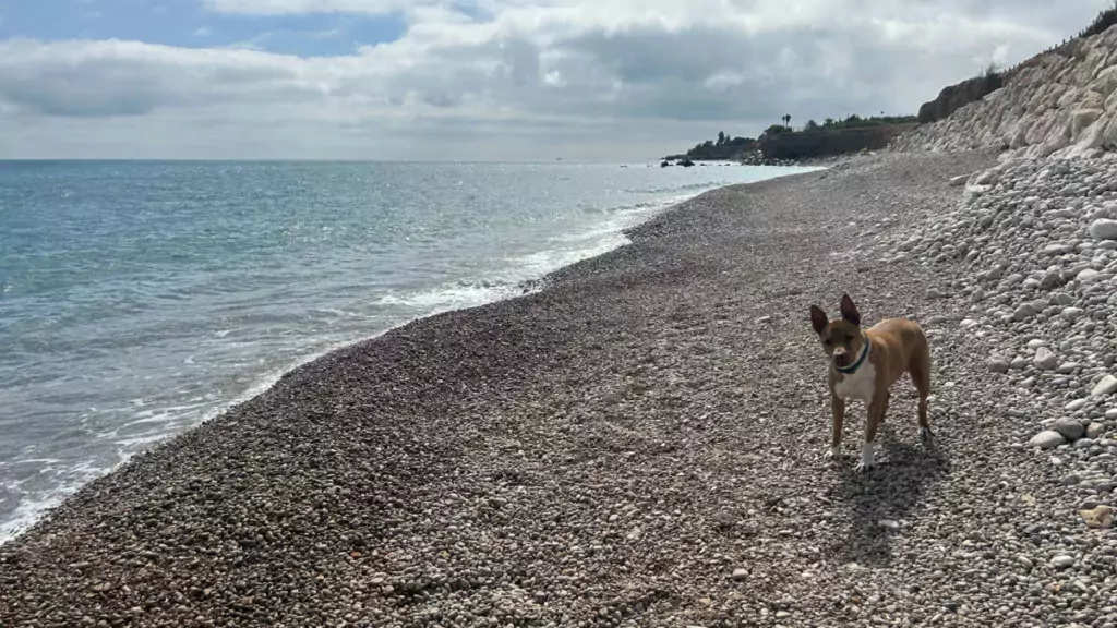 Playa la Platjola - Playa para perros de Alcanar