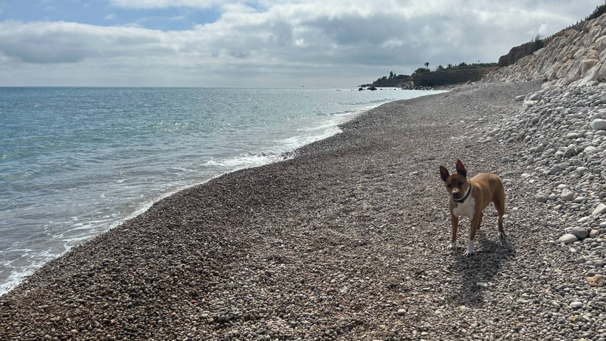 Playa la Platjola - Playa para perros de Alcanar