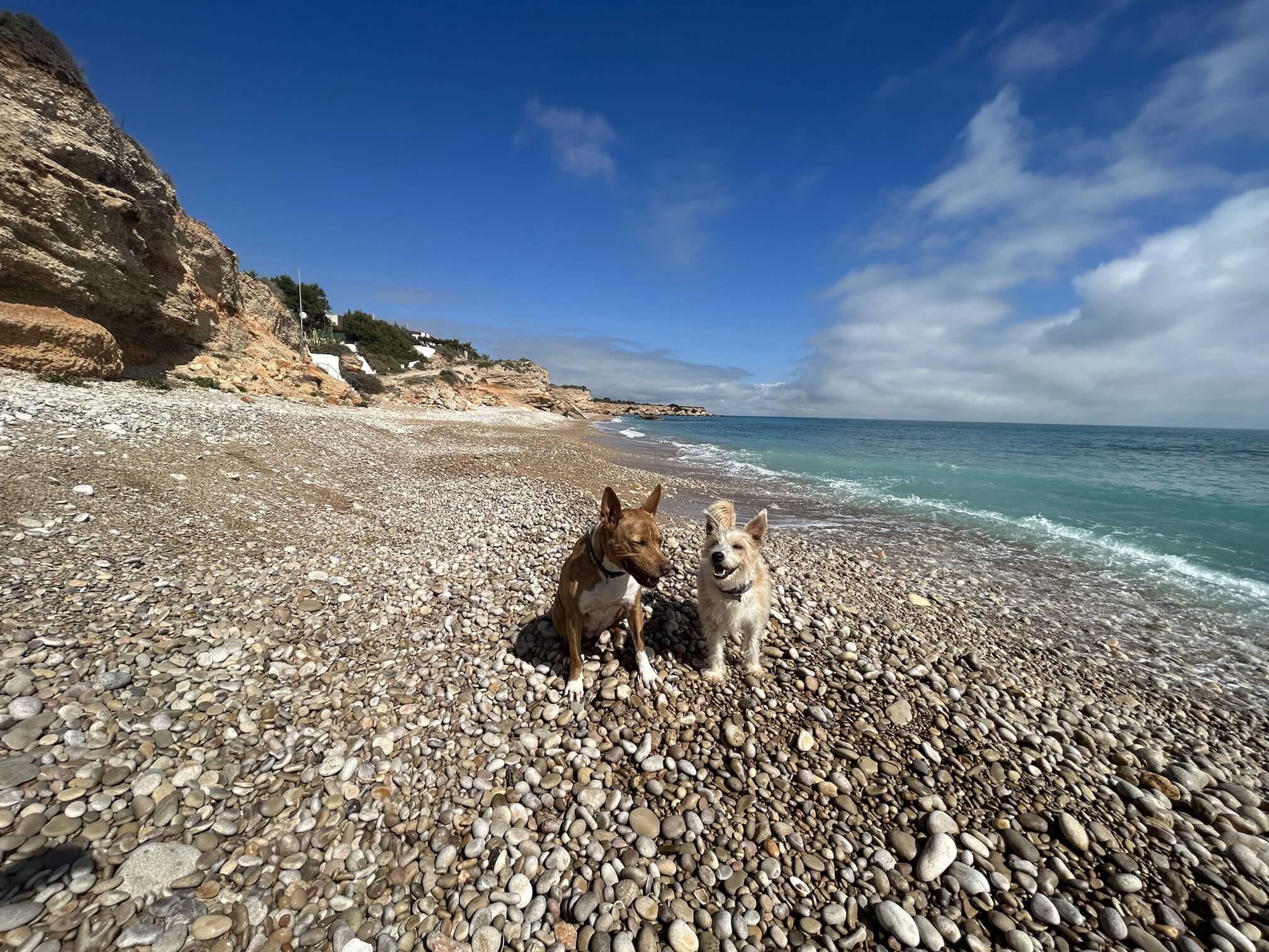 Cala de les Llanetes | Los miembros mas viajeros de Pawzy