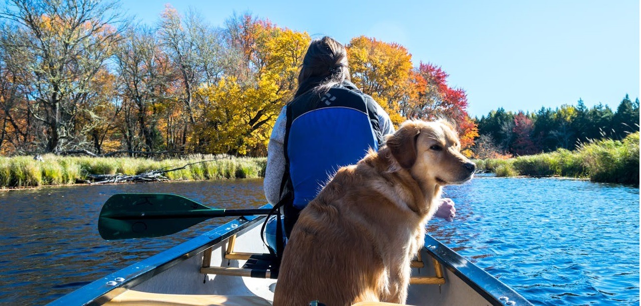 actividades con perros - paseo en canoa