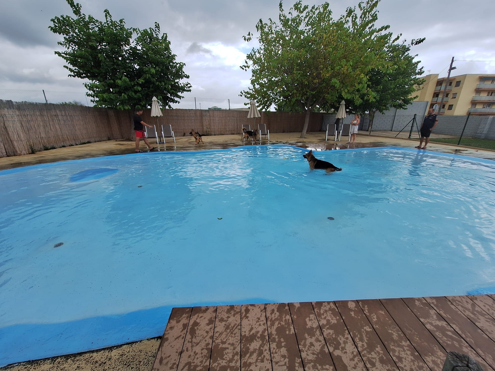 Sangulí | Camping con piscina para perros