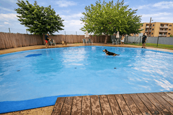 zona de piscina en el cmping Sangulí