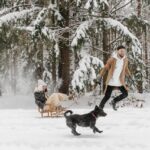 perro jugando con su familia en la nieve
