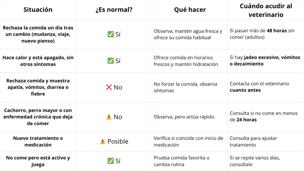 Cuadro de cómo actuar si mi perro no quiere comer