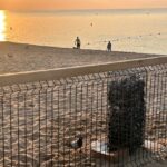 playa para perros badalona