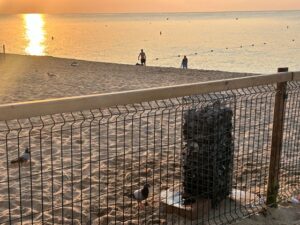 playa para perros badalona