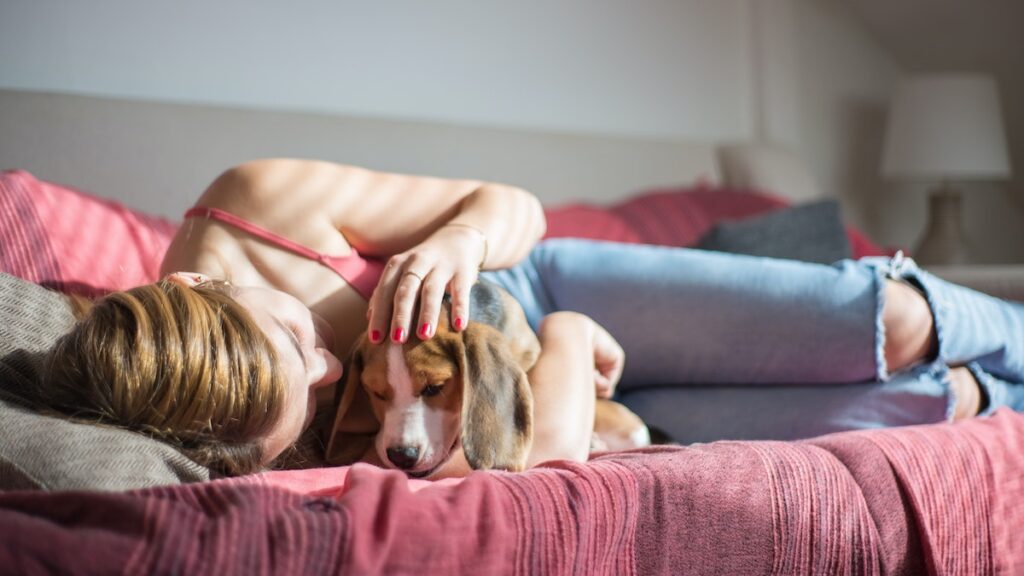 Pawzy | Blog de mascotas | buscador de residencia canina 29 Las 5 mejores razas de perros para niños
