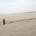 Pawzy | Blog de mascotas | buscador de residencia canina 19 Dunas costeras en el Delta del Ebro
