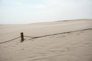 Pawzy | Blog de mascotas | buscador de residencia canina 35 Dunas costeras en el Delta del Ebro