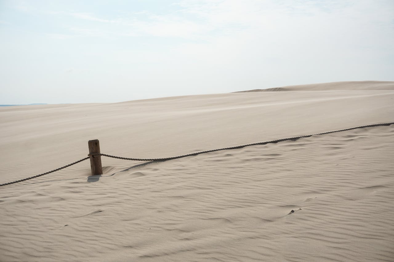 Pawzy | Blog de mascotas | buscador de residencia canina 2 Dunas costeras en el Delta del Ebro